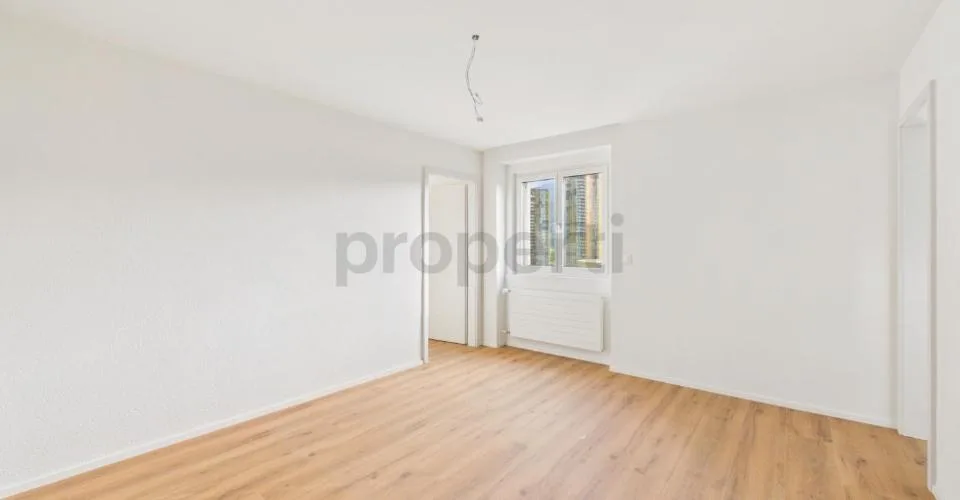 Neu renovierte 2.5-Zimmer-Wohnung mit Balkon, Luzern
