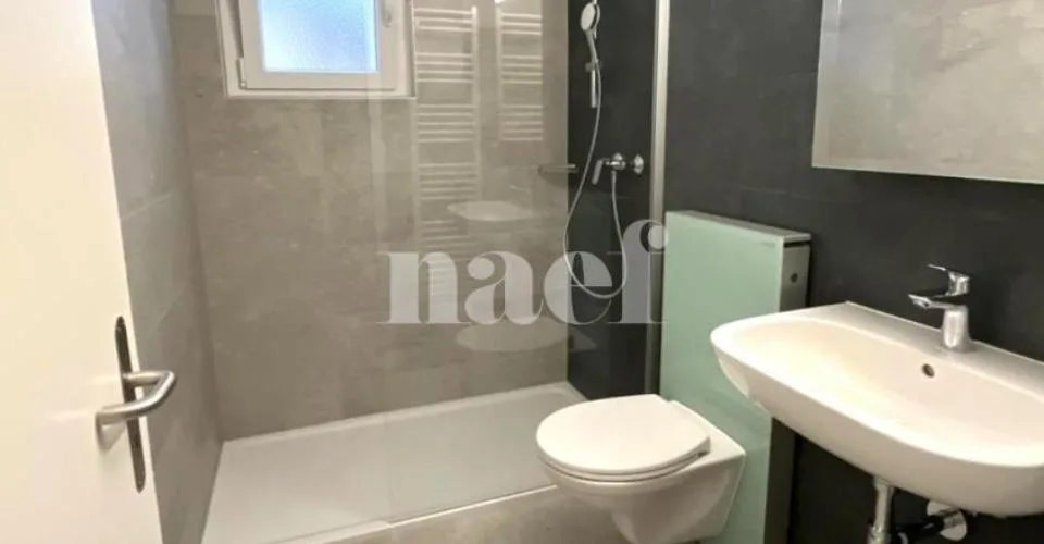 Sublime appartement moderne de 3 pièces avec blacon