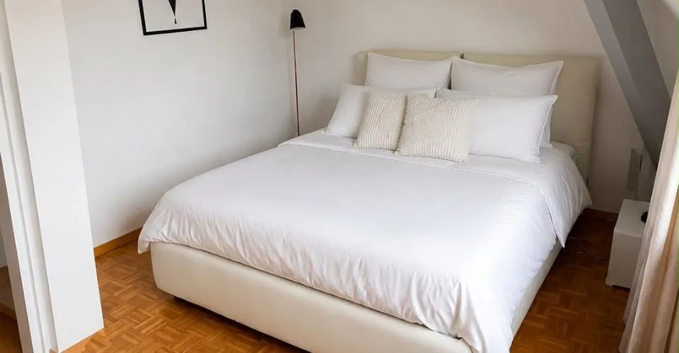 Appartement 3 pièces - Plainpalais