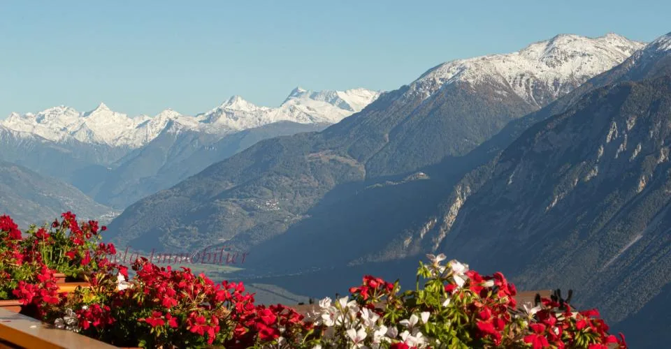 Centre de location annuel Montana CHF 4750.- par mois
