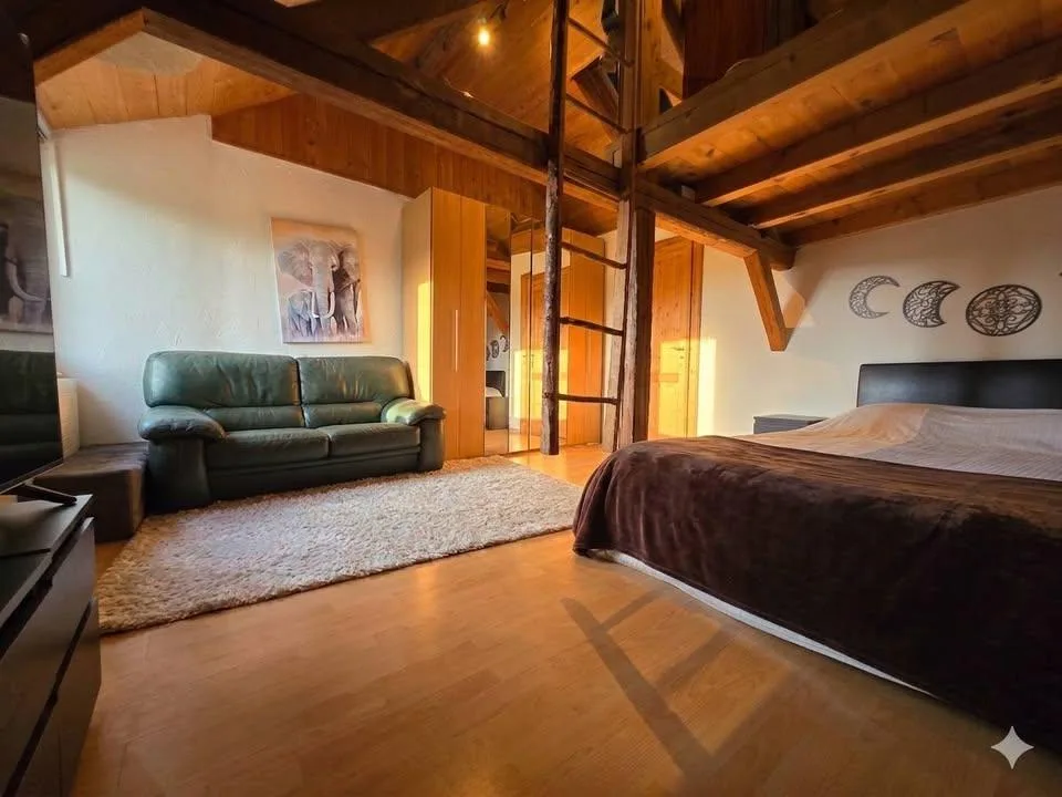 Ferme à rénover à 20min du CHUV