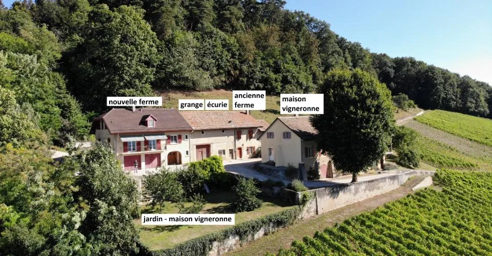 Hameau viticole avec forêt, vue imprenable lac