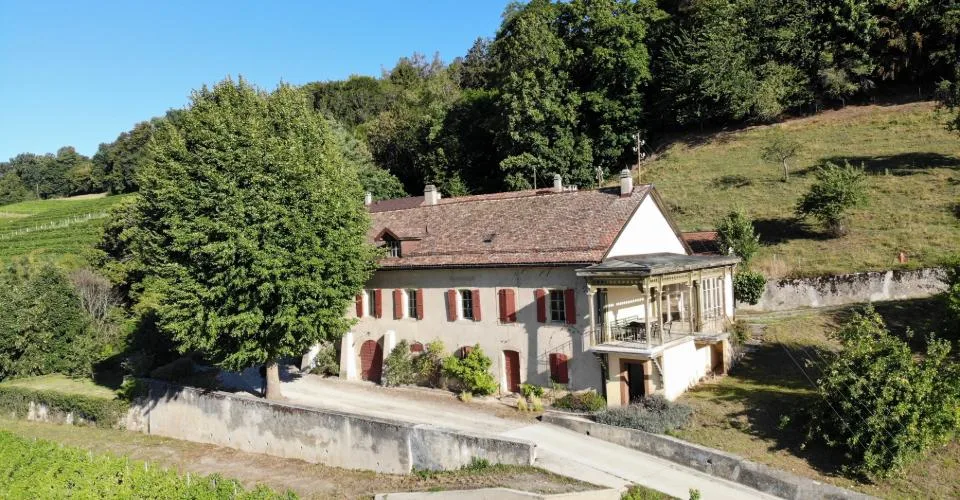 Hameau viticole avec forêt, vue imprenable lac