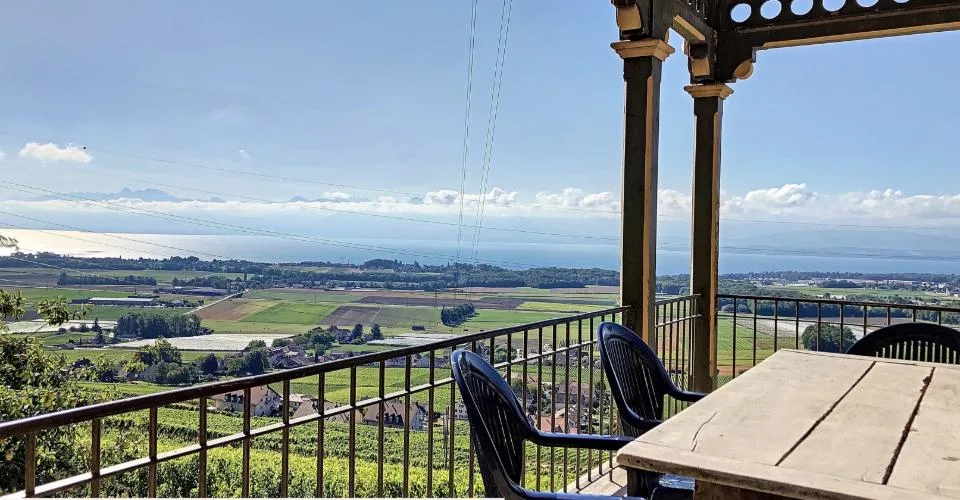 Hameau viticole avec forêt, vue imprenable lac