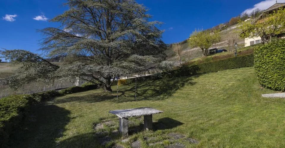 Maison vigneronne avec annexe indépendante – photo 11 of 13