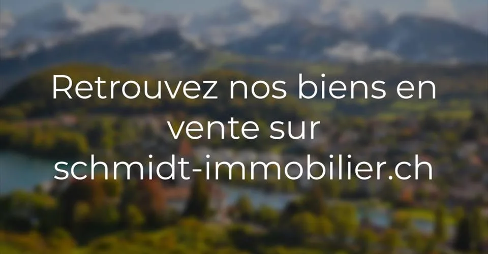 Opportunité d'investissement unique - Ensemble immobilier à vendre – Foto 2 von 2