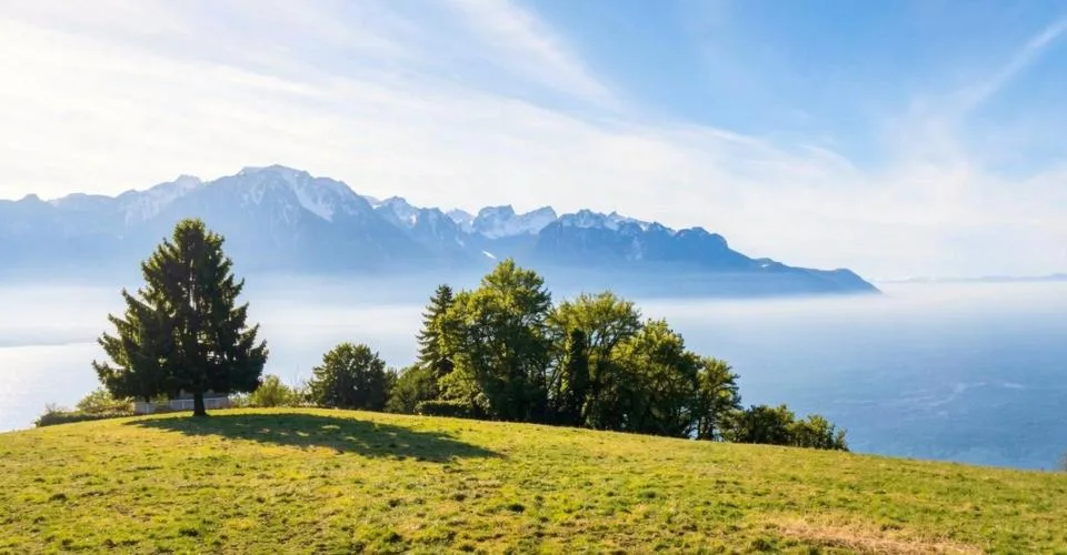 Un lieu paisible, pensé pour le bien-être de toute la famille – Foto 2 von 10