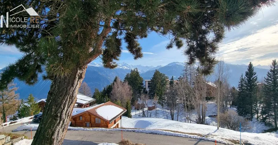 Superbe opportunité près des pistes ! – Foto 10 von 13