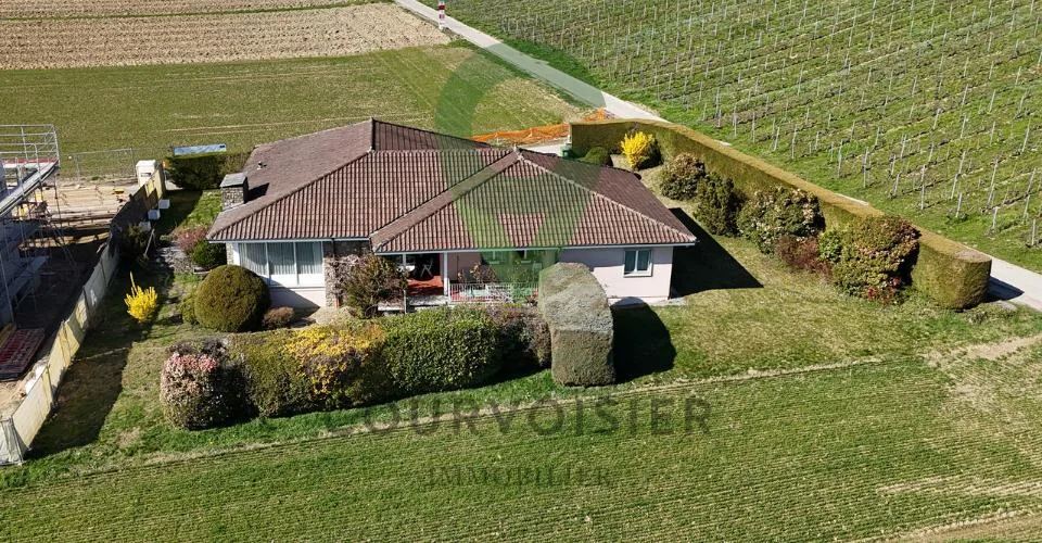 Propriété unique avec belle vue dégagée
