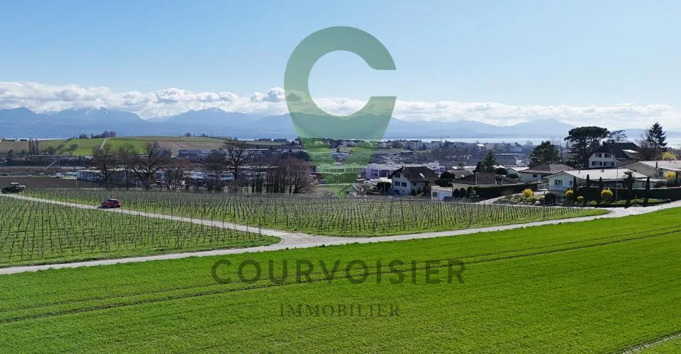 Propriété unique avec belle vue dégagée