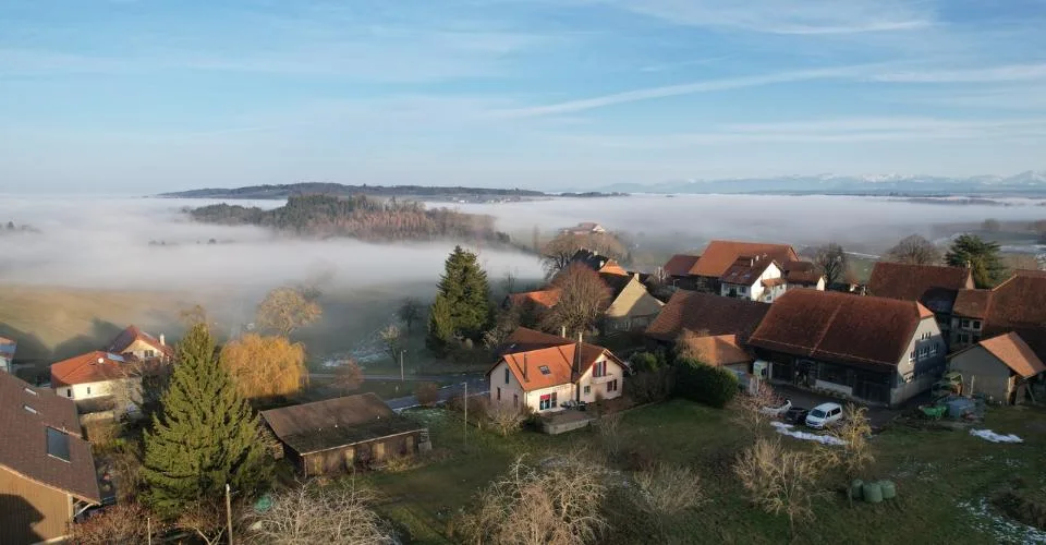 Ferme rénovée de 3 appartements