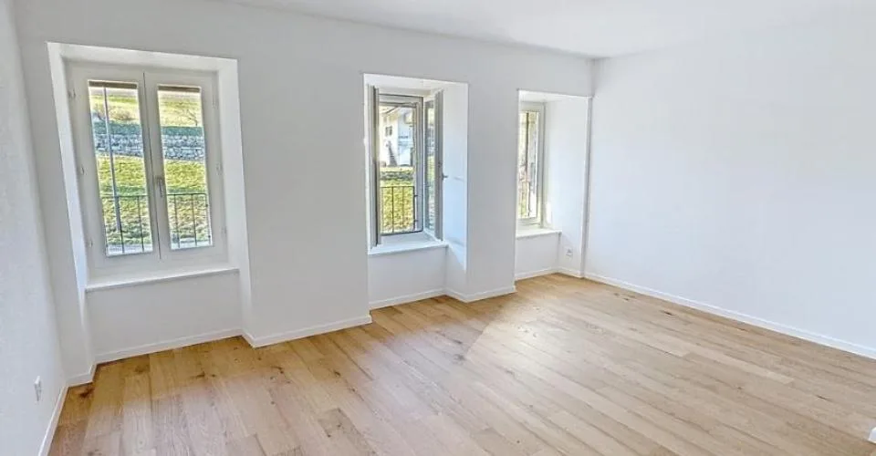 Ferme rénovée de 3 appartements