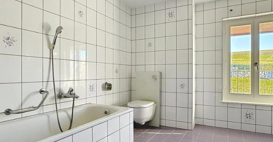 Ferme rénovée de 3 appartements
