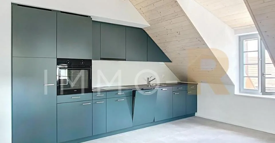 Magnifique Immeuble de rendement