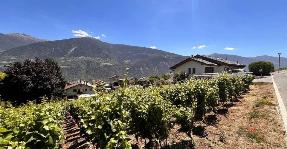 Terrain constructible sur la commune de Lens