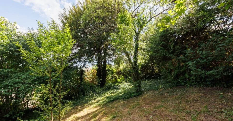 Maison familiale de 7 piÃ¨ces Ã DelÃ©mont avec terrain de 875 m2 – Foto 8 von 9