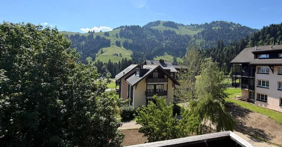 MOLESON | APPARTEMENT 3.5 p en duplex