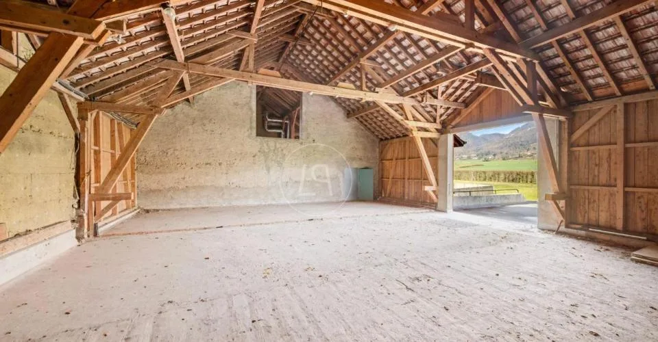 Un domaine d'exception aux portes de Genève - Possibilités infinies – photo 9 sur 13
