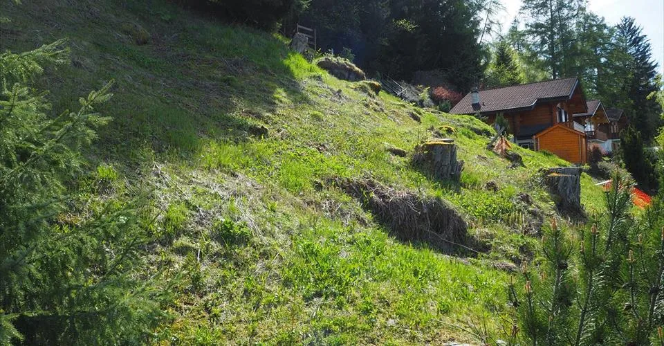 Terrain constructible, libre de mandat à côté du Bisse – photo 11 sur 15