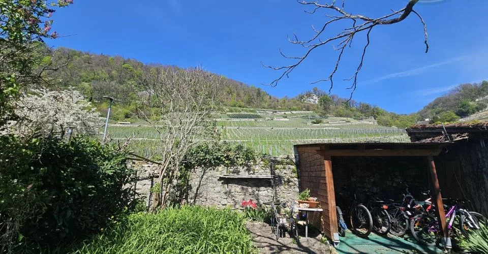 Immeuble de rendement à deux pas du lac et des vignes