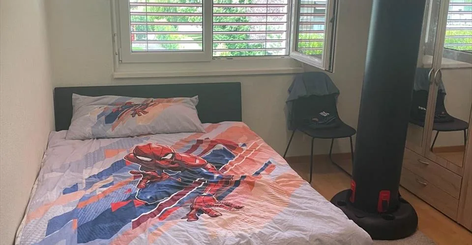 Appartement 3,5 pces à Ardon
