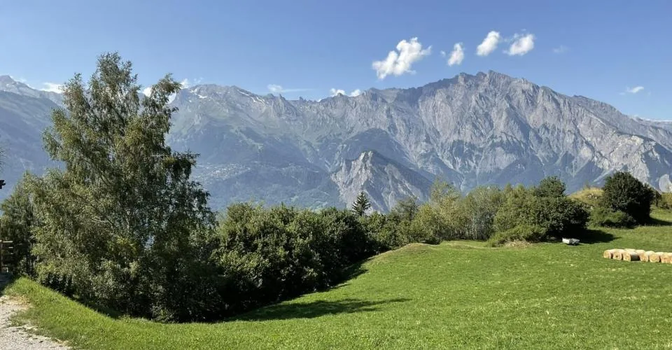 Au coeur des 4 Vallées votre chalet avec une vue à couper le souffle