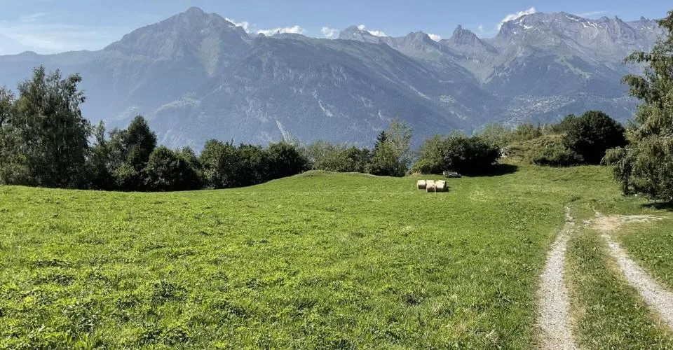 Au coeur des 4 Vallées votre chalet avec une vue à couper le souffle