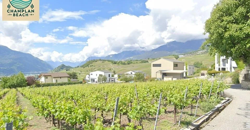Exclusivité ! Dernière parcelle à vendre Champlan - Grimisuat – photo 3 sur 9