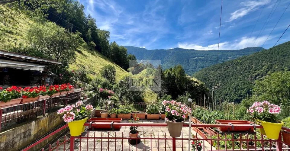 Habitation avec grange attenante sur parcelle agricole et forestière de plus de 56'000 m2