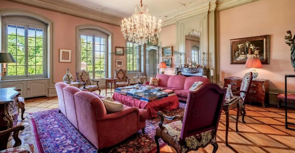 DOMAINE D'EXCEPTION ? CHÂTEAU DE MERLINGE