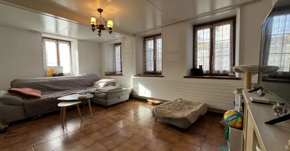 Belle ferme avec permis de construire pour 5 appartements.