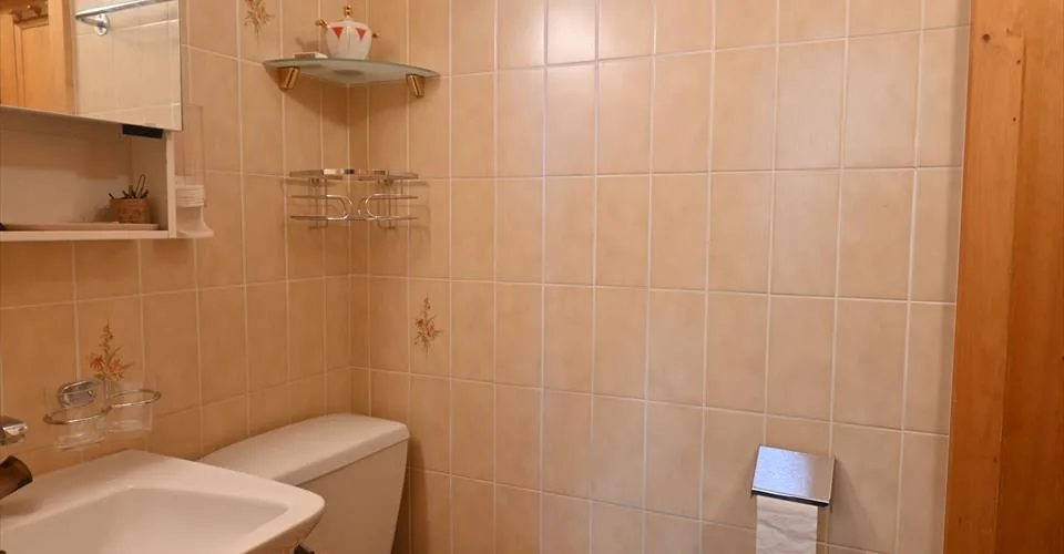2 appartements de 2 pièces meublés au rez de chaussé d'une petite copropriété . – photo 12 of 13