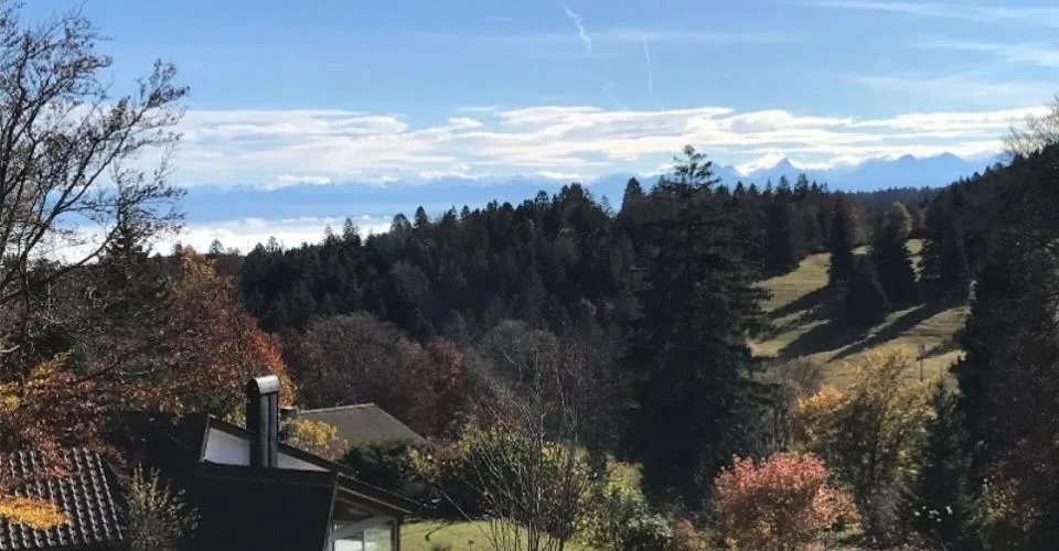 Exklusives Ferienhaus mit grossem Umschwung an äusserst ruhiger Lage