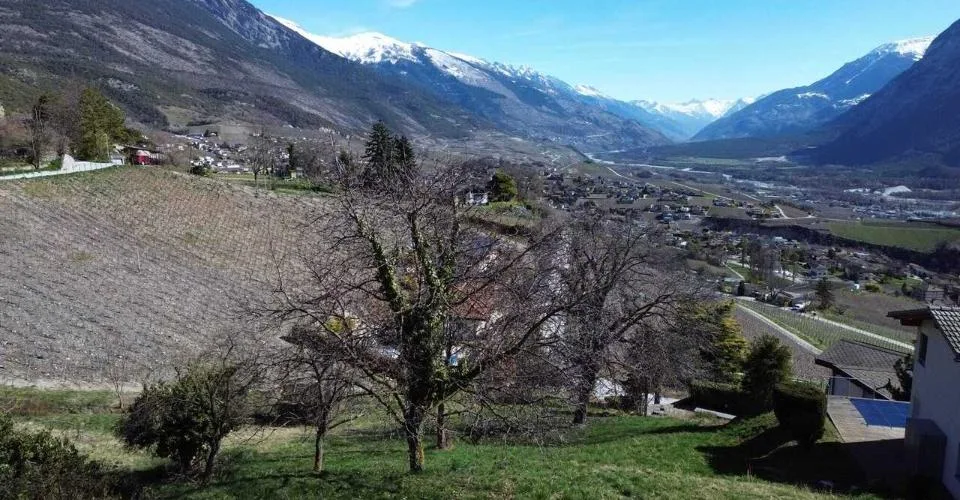 Terrain idyllique avec potentiel de construction et vue sur la montagn