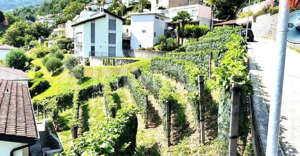 Vista lago e soleggiamento totale