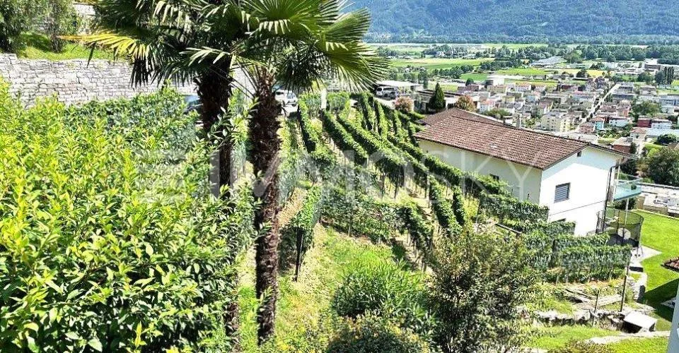 Vista lago e soleggiamento totale