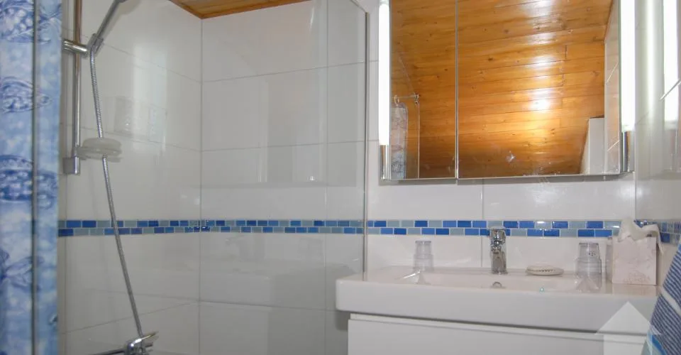 Deux appartements à Anzère avec vue panoramique