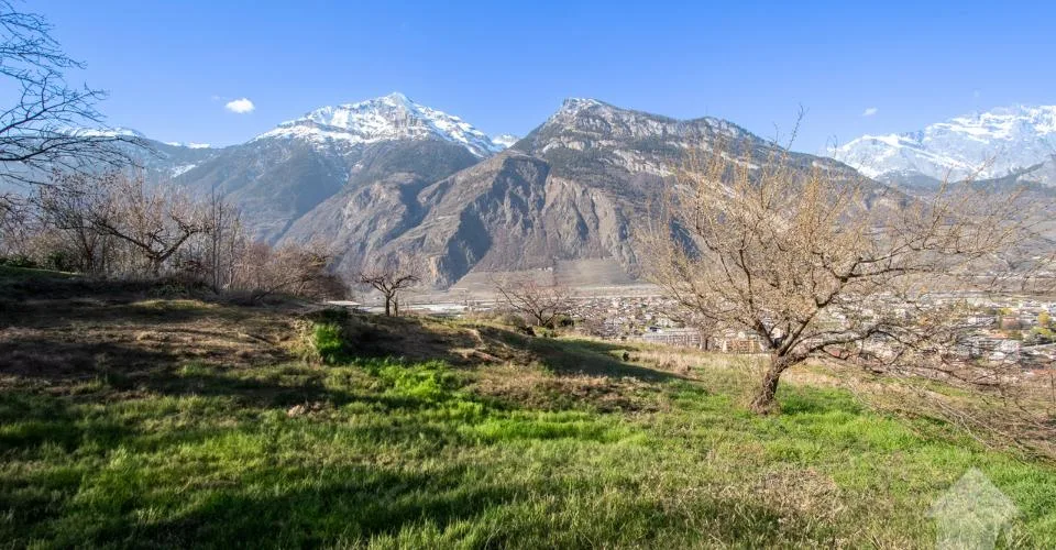 Grand terrain à construire dans le village de Saxon