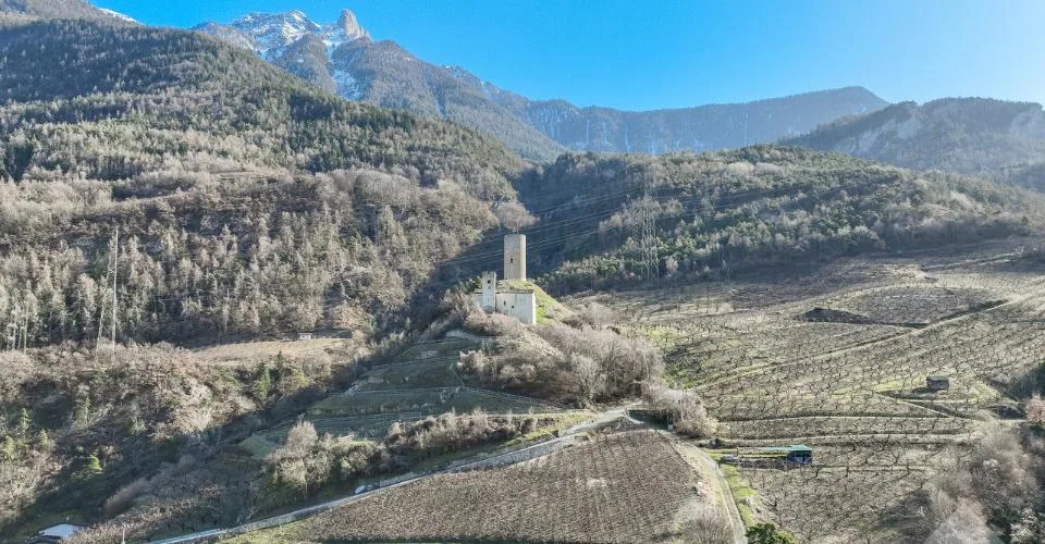 Grand terrain à construire dans le village de Saxon