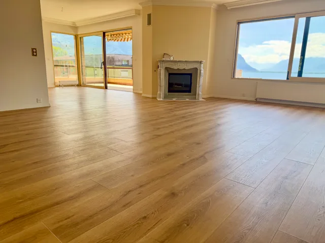 Magnifique appartement avec vue épustouflante sur le lac et montagnes
