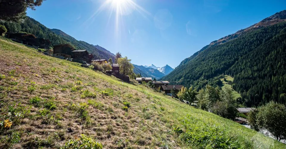 Très belle parcelle idéalement située pour résidence principale – Foto 3 von 10