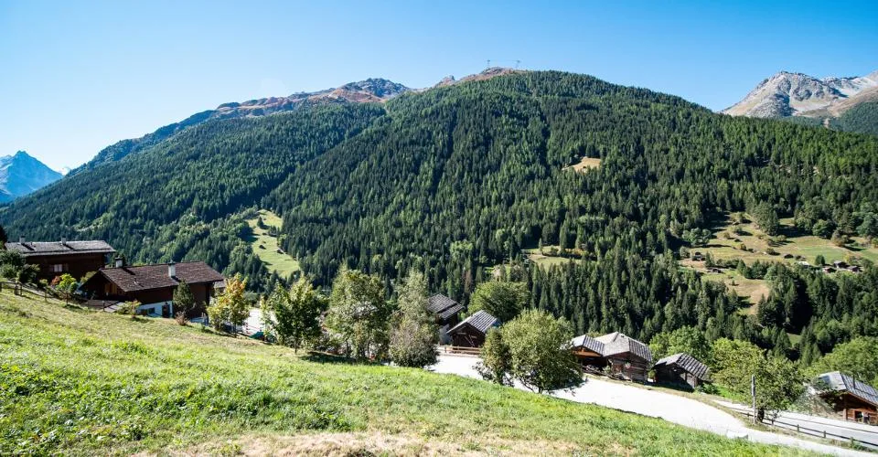 Très belle parcelle idéalement située pour résidence principale – Foto 6 von 10