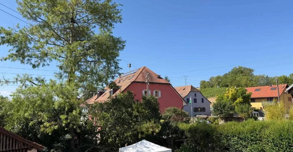 Charmante maison mitoyenne de 4½ pièces avec vaste galetas, garages et places de parc – Foto 8 von 10