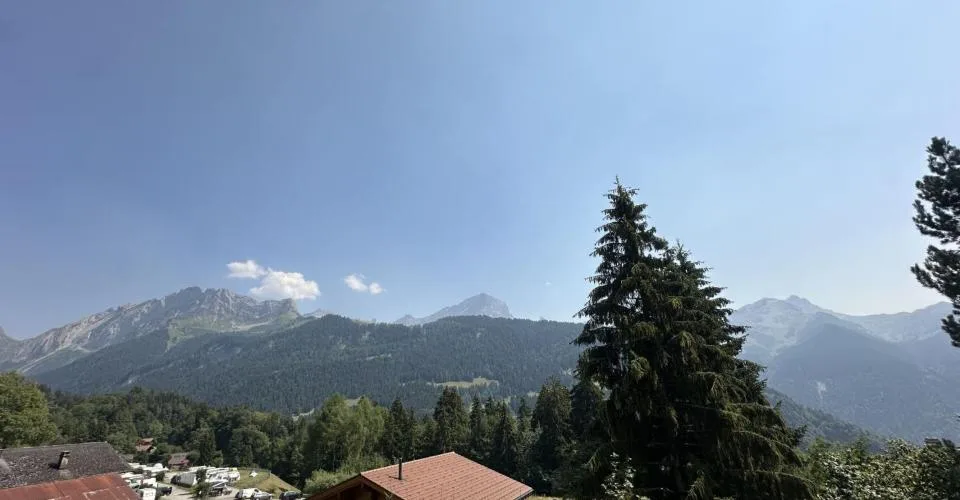 A deux pas du télécabine - appartement 2 pièces avec balcon