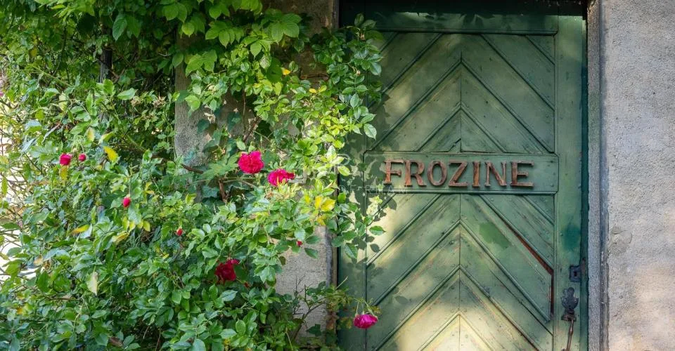Essertines-sur-Rolle | Maison de charme et son annexe en zone village