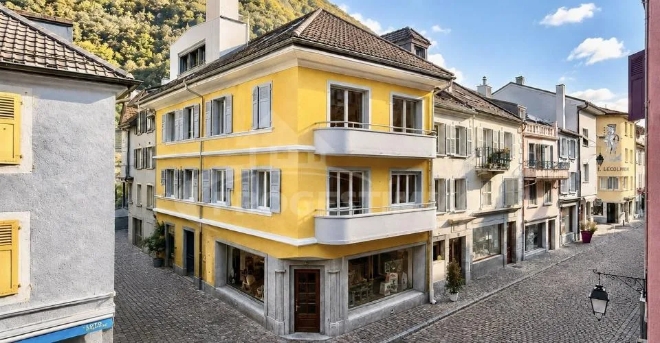 IMMEUBLE DE RENDEMENT AU CŒUR DE LA VILLE