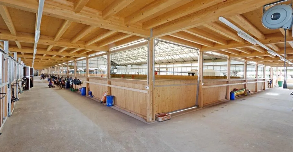 Magnifique centre équestre avec infrastructures professionnelles – photo 4 sur 9