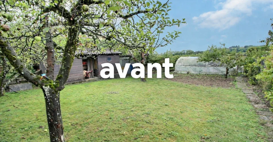 Très grande maison individuelle à Cugy en viager semi occupé sans rente