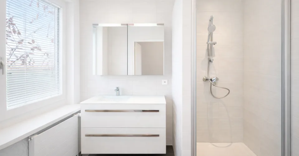 Appartement entièrement rénové en 2026 - Volumes atypiques avec double suite parentale à Puplinge