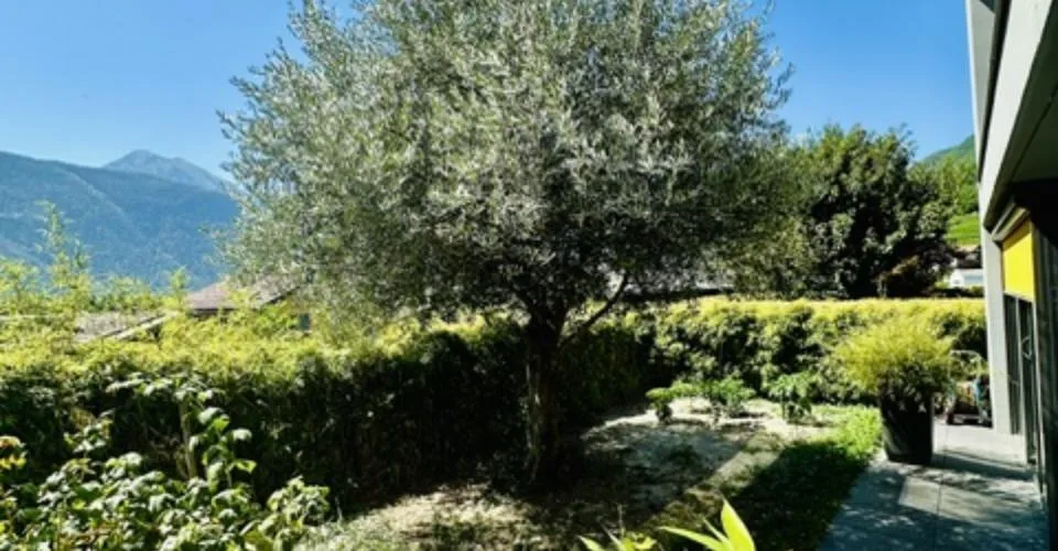 Splendide 3.5 pièces avec jardin et terrasse panoramique